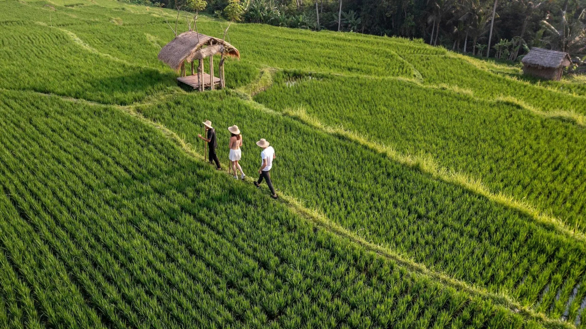 Photo - Ubud Nyuh Bali Resort & Spa