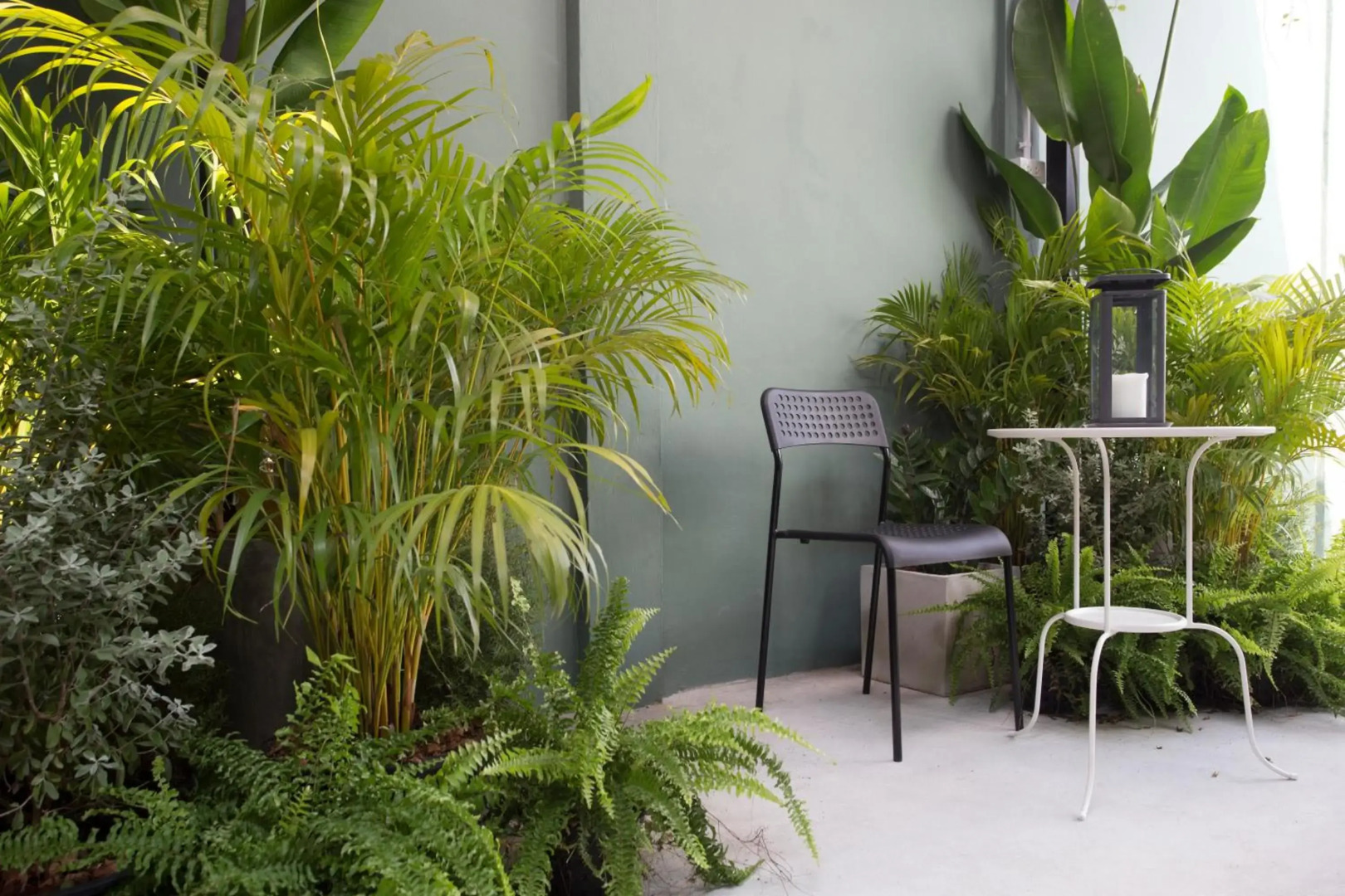 Foto - The Orientale