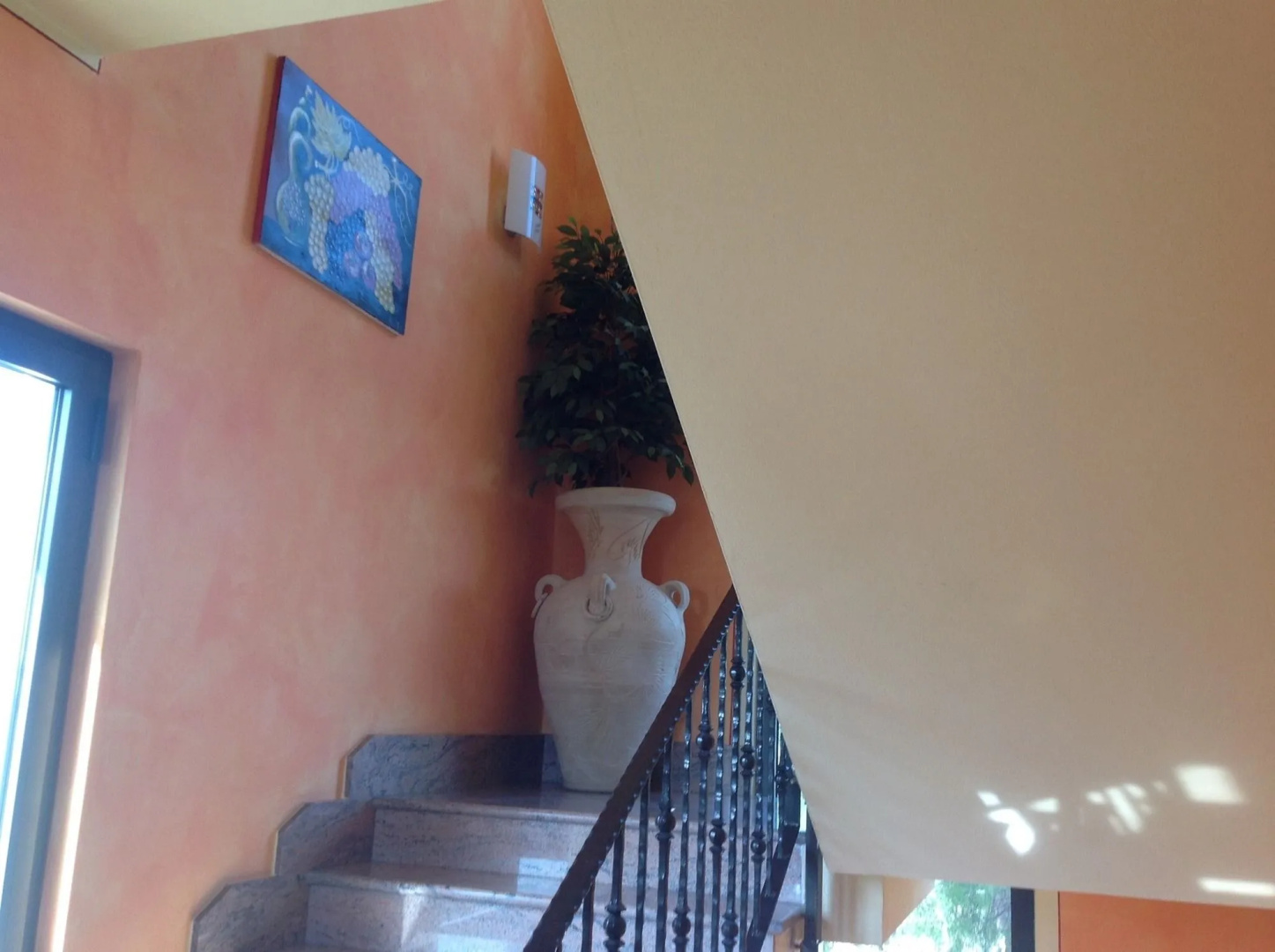 Photo - Hotel Villa Rosa