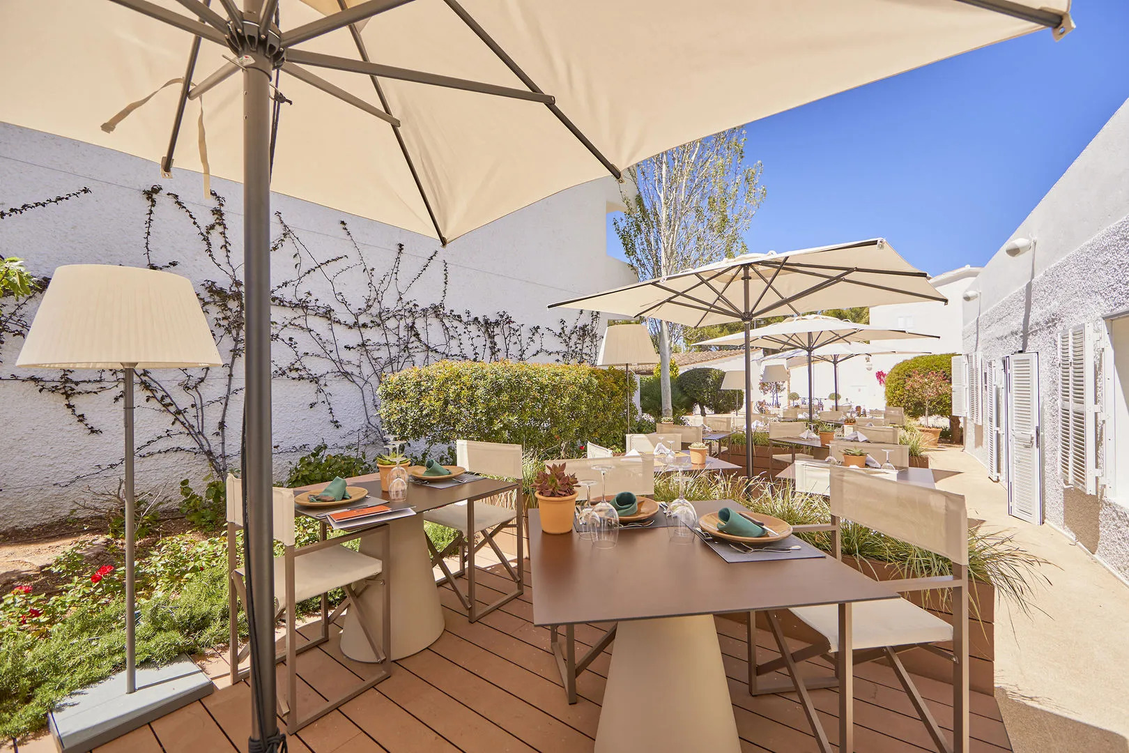 Photo - Prinsotel Mal Pas - Adults Only