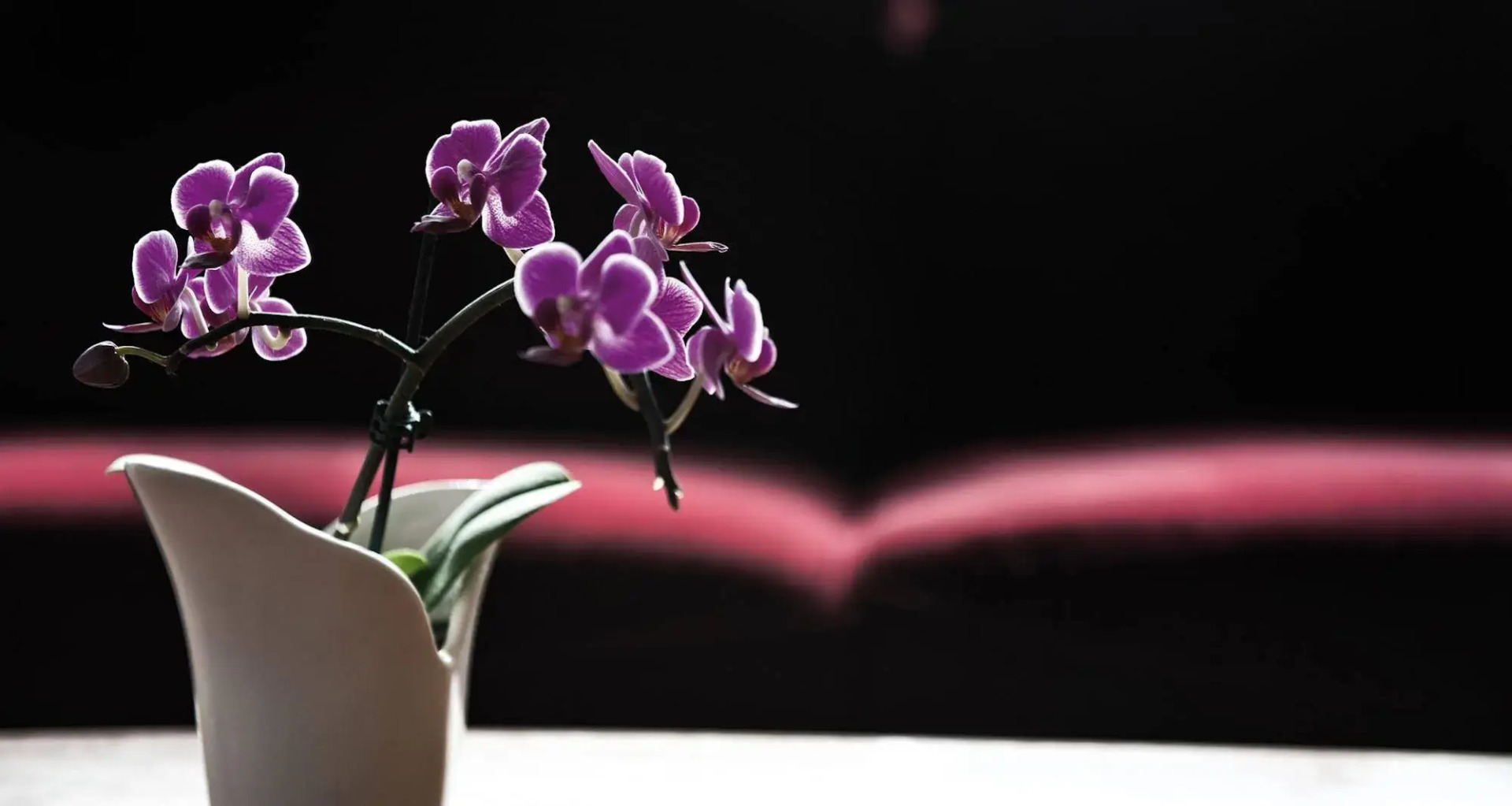 Photo - Victor's Residenz-Hotel Leipzig