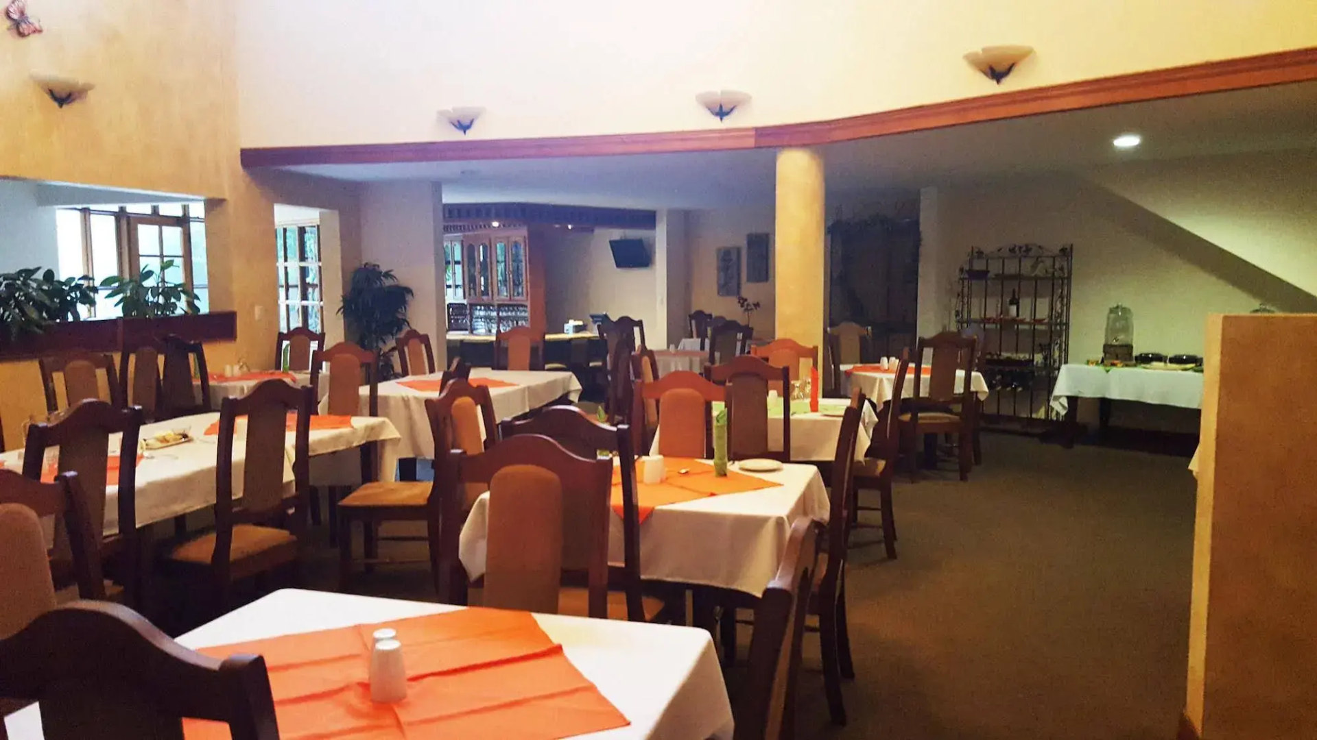 Foto - Buena Vista Chic Hotel