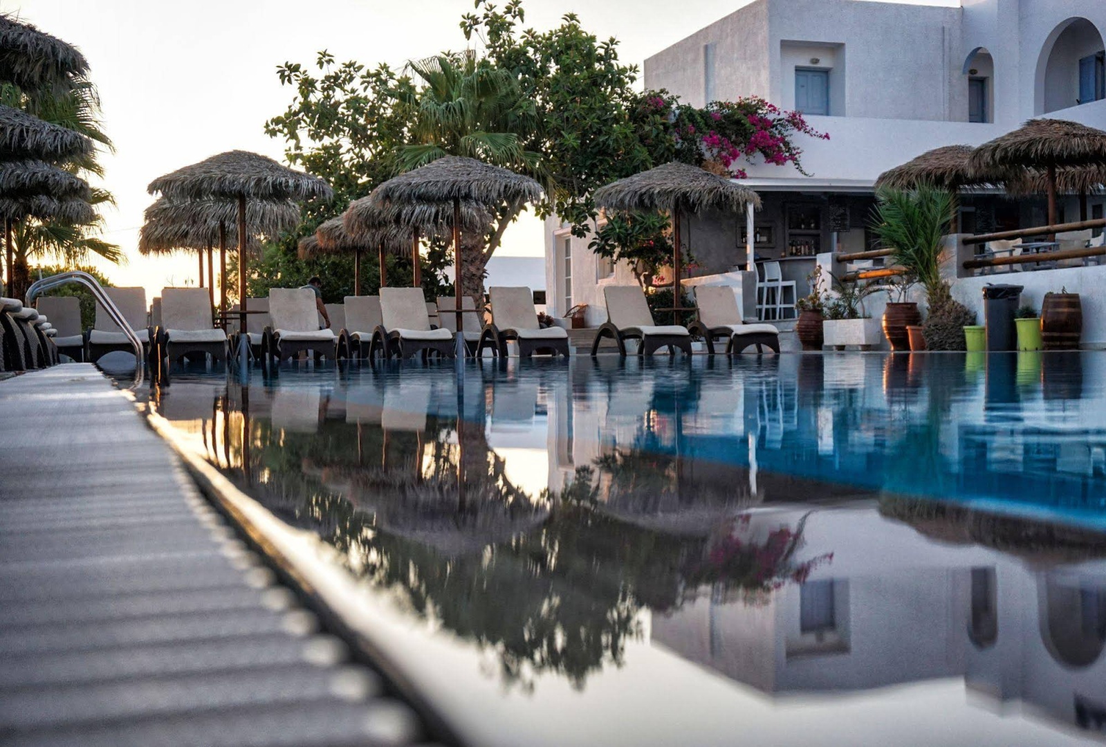 Foto - Alexandra Hotel