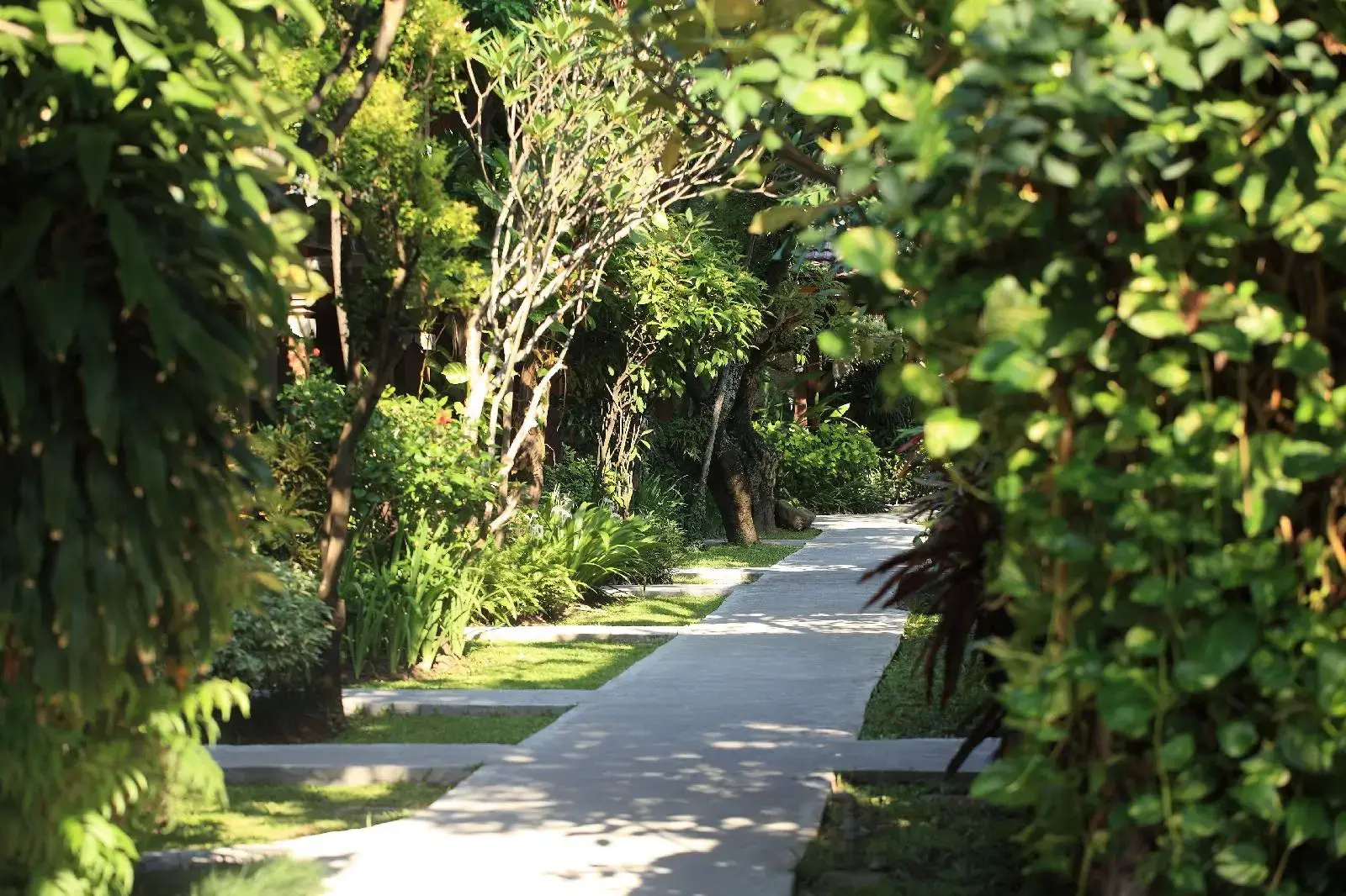 Foto - Matahari Bungalow