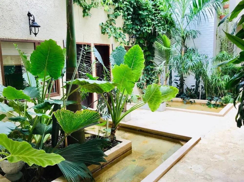 Foto - Soy Local Insignia