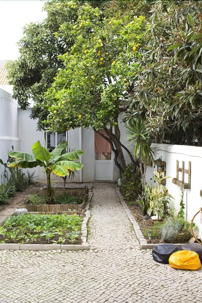 Photo - Dear Faro - Guest House