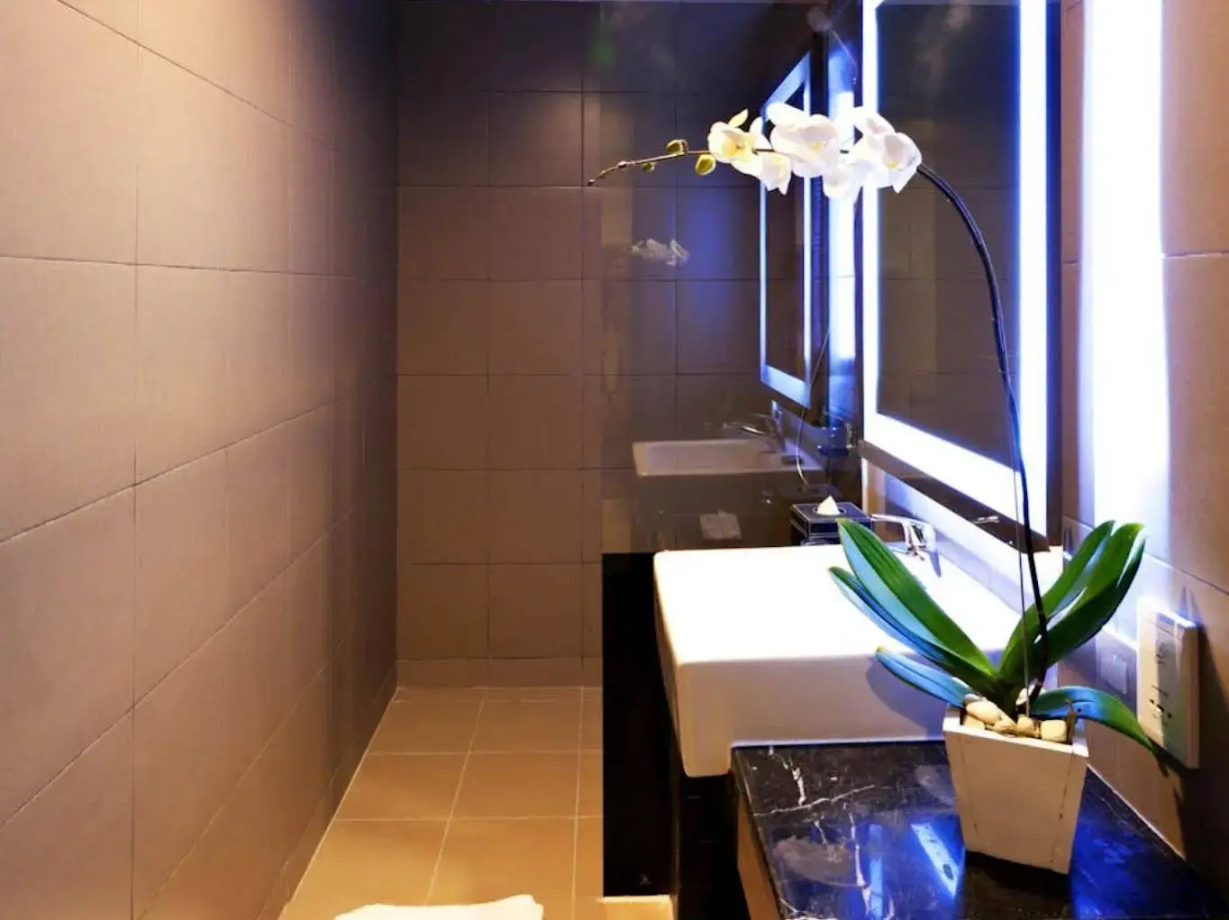 Foto - Euphoria Hotel