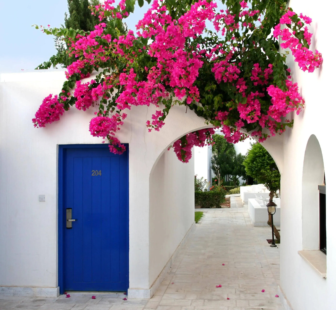 Foto - Aliathon Aegean