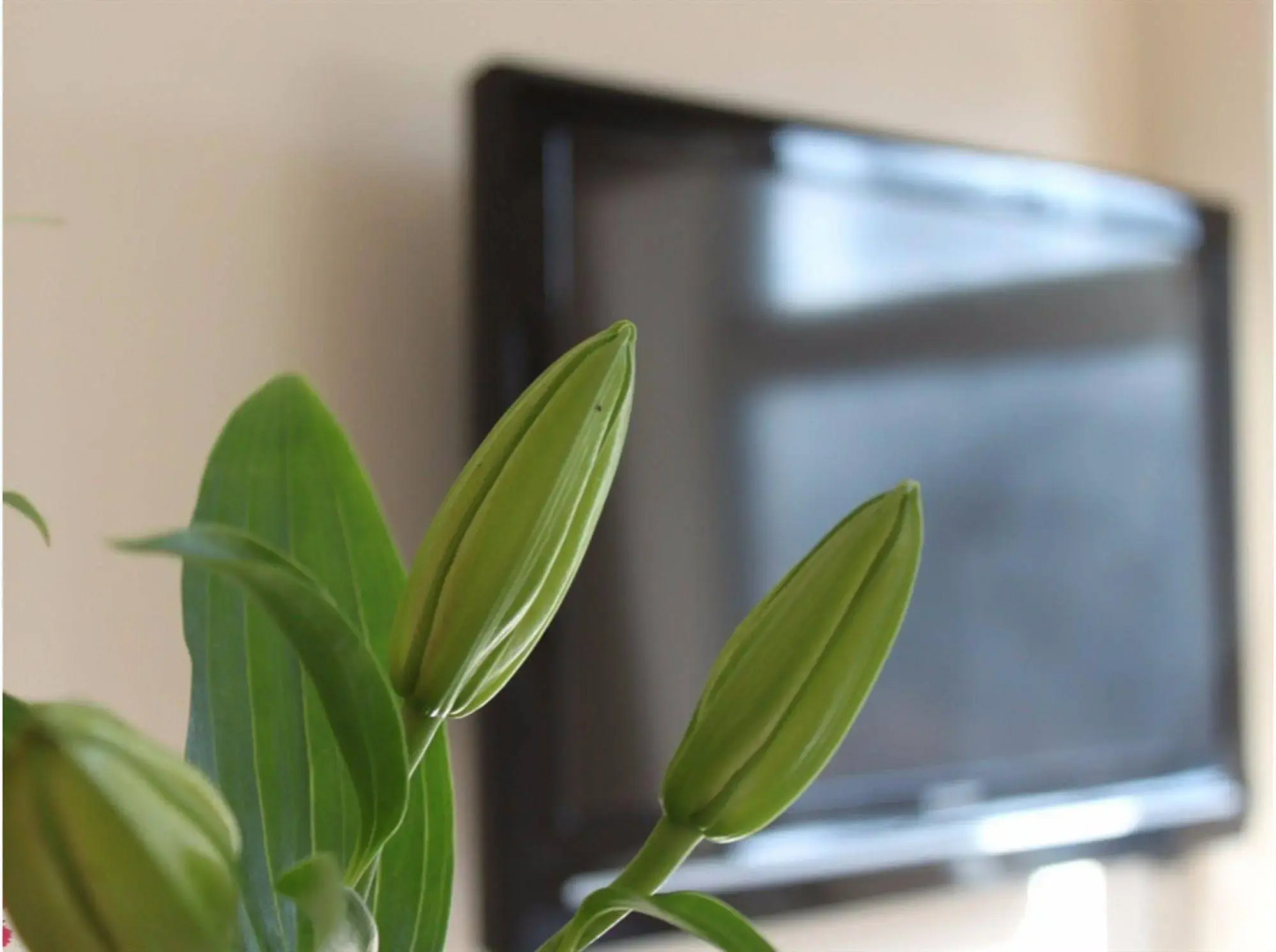 Foto - City Inn Russell Square