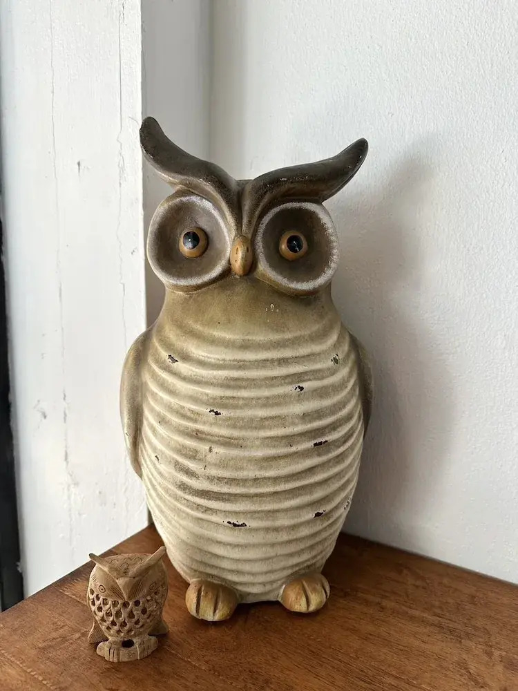 Photo - Sleep Owl Jomtien