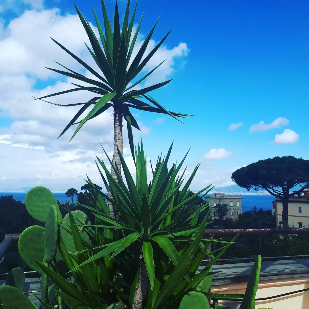 Foto - Seven Hostel & Rooms