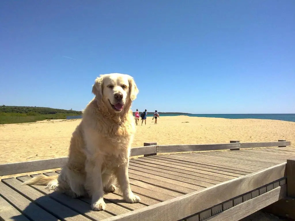 Foto - Hotel Su Barchile