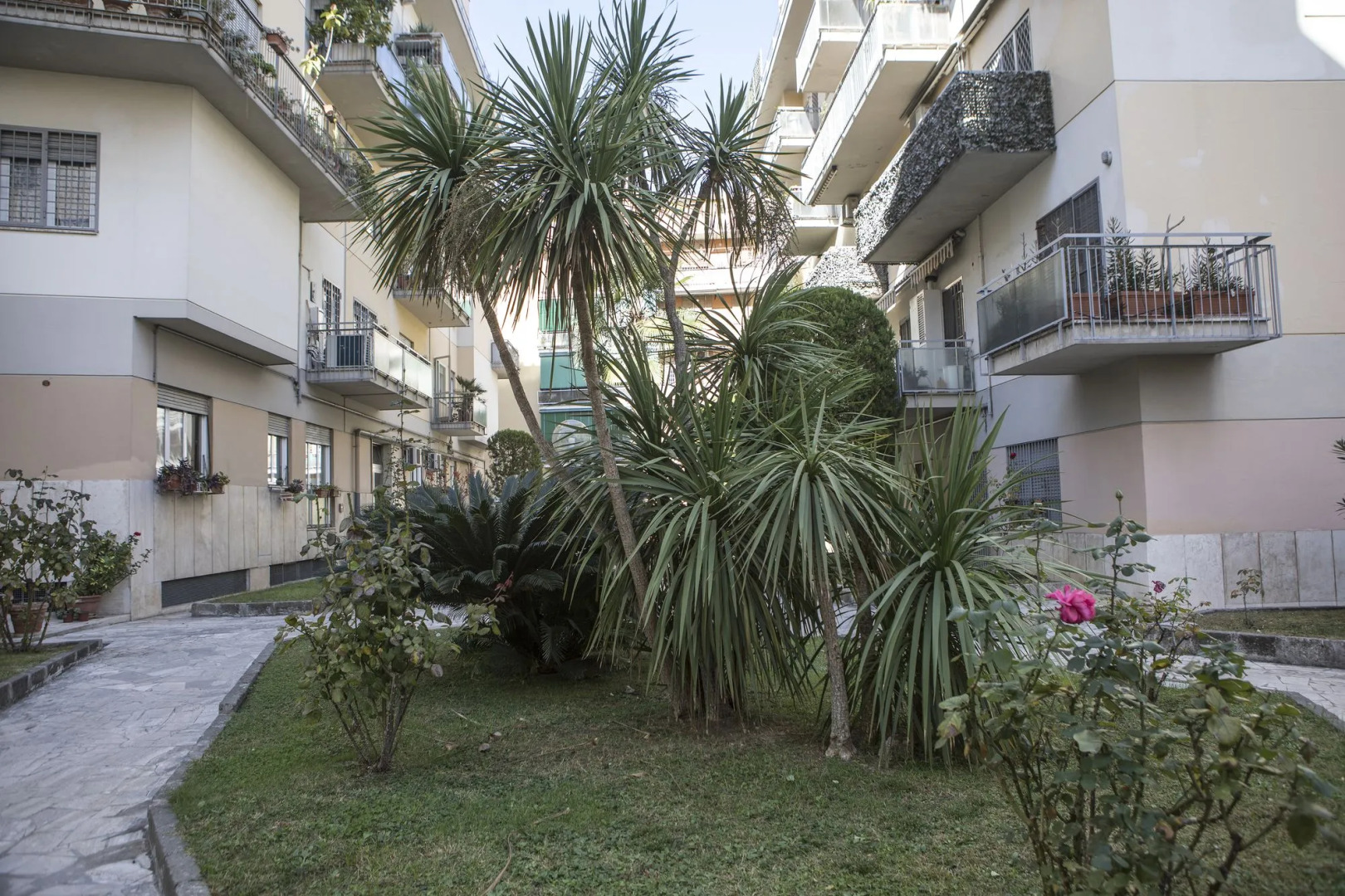 Foto - Dreams Of Rome