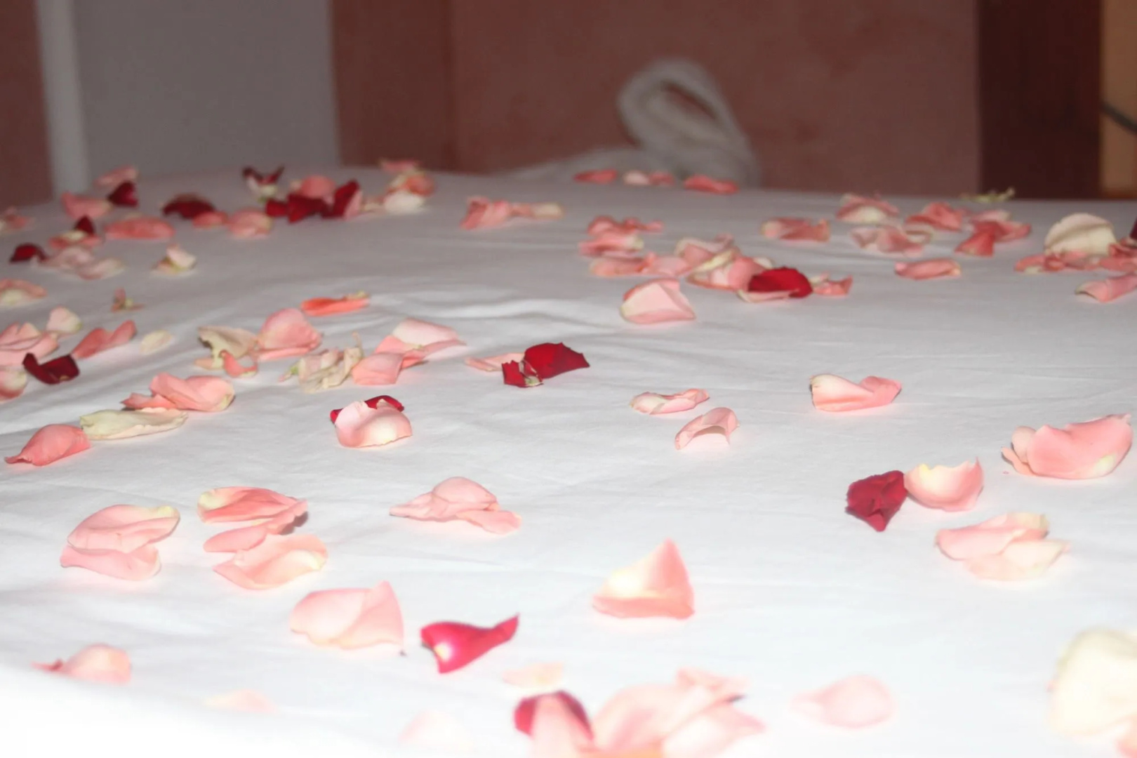 Foto - Riad O-ly