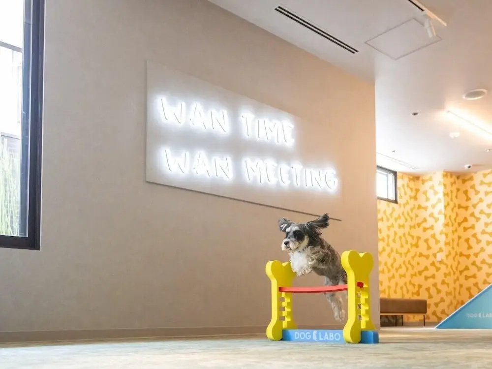 Foto - hotel anddoggy Kyoto Nijo