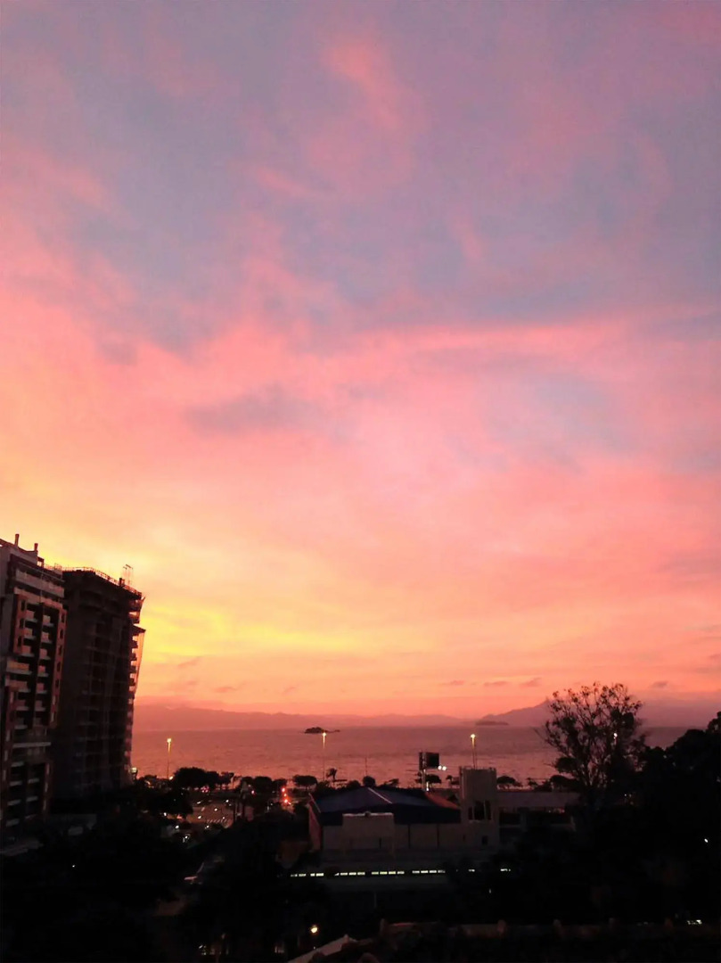 Foto - Pup Hostel SC