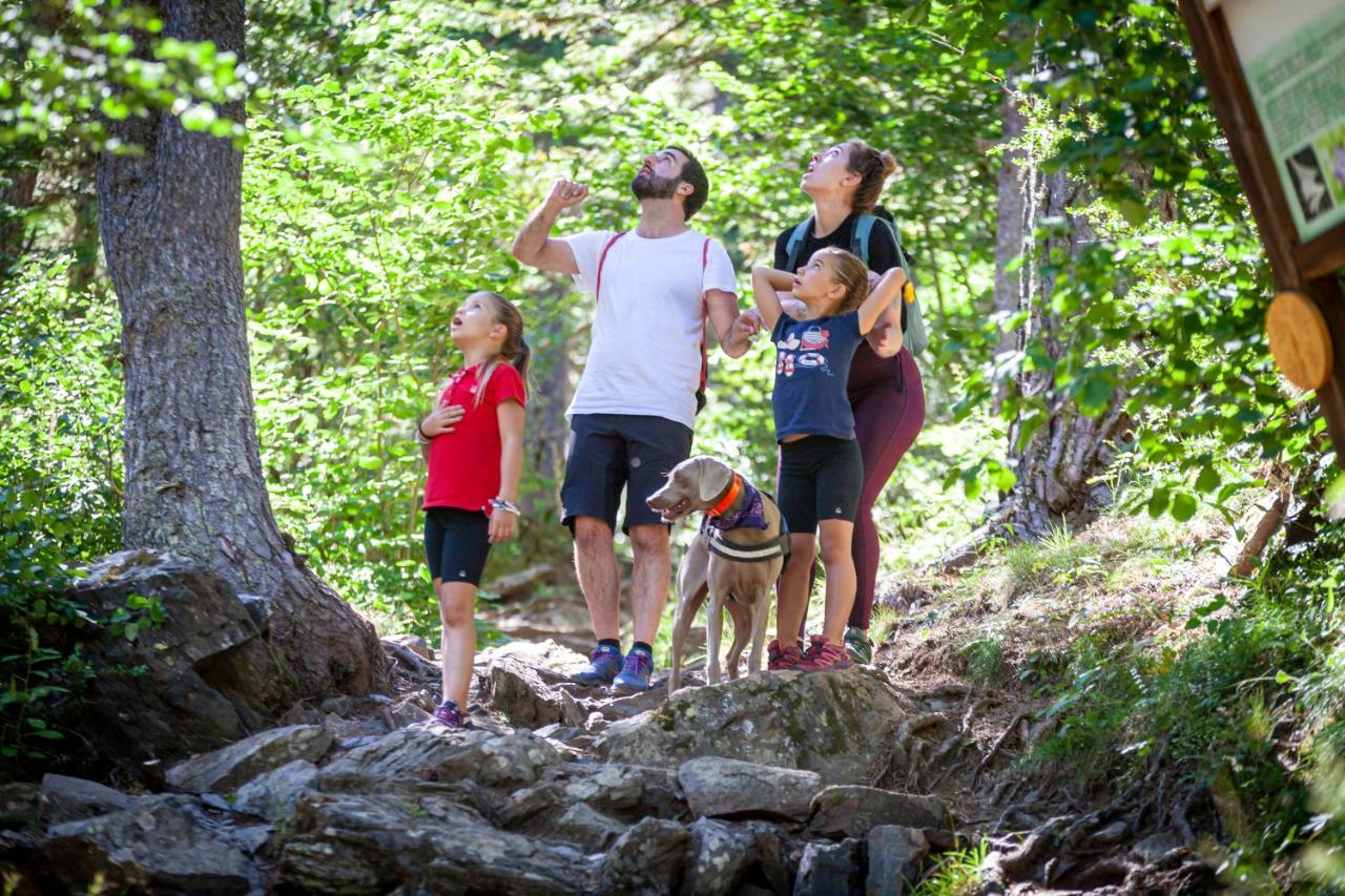 Foto - Princesa Parc Excellence