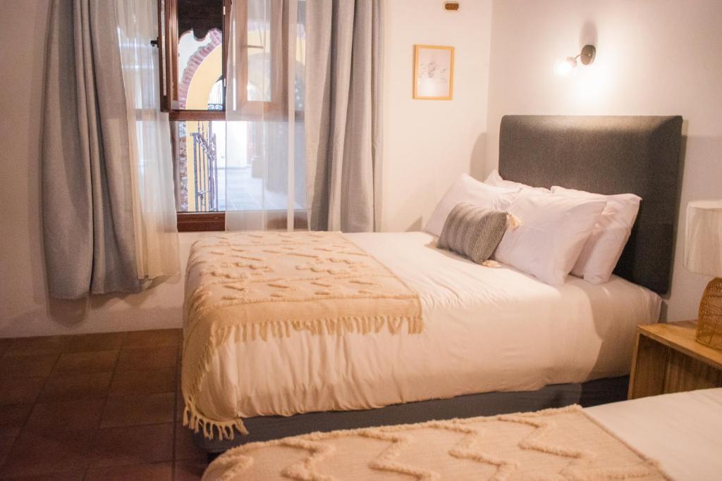 Photo - Mestizo Antigua