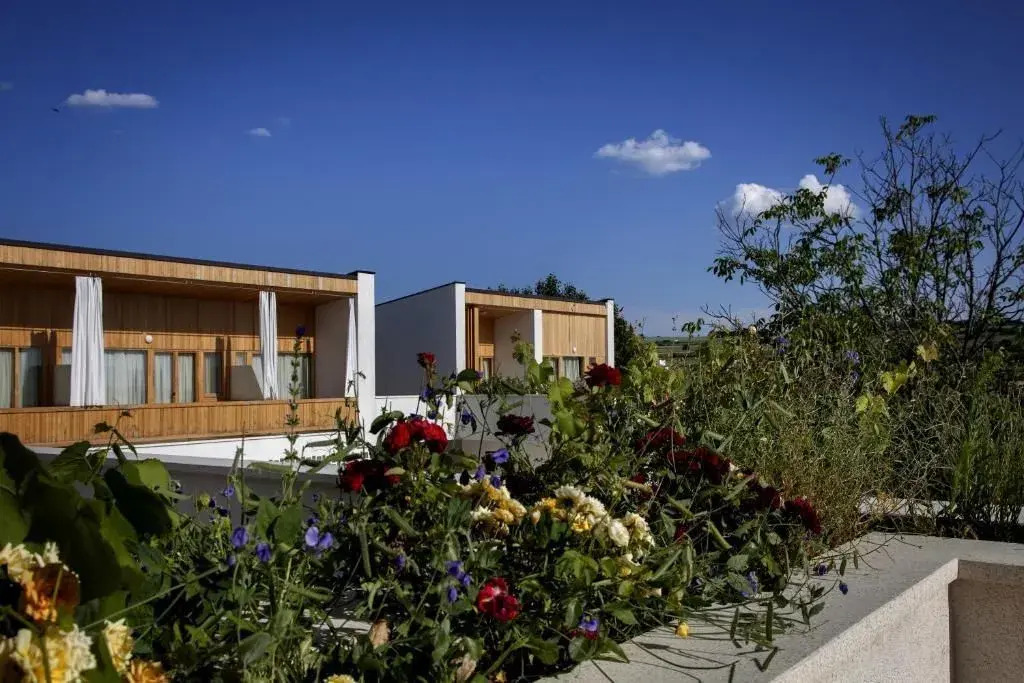 Photo - Hotel Gracanica