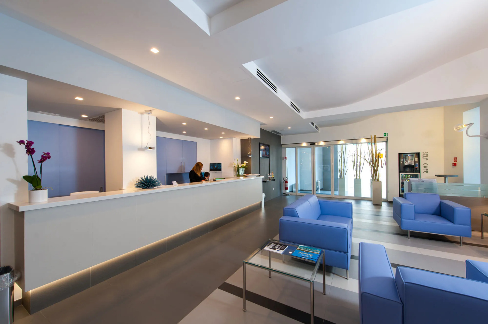 Photo - Hotel Executive Inn