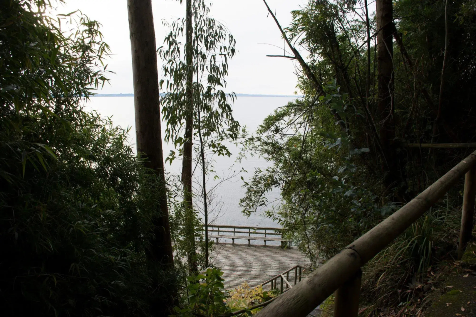 Foto - Hotel Borde Lago