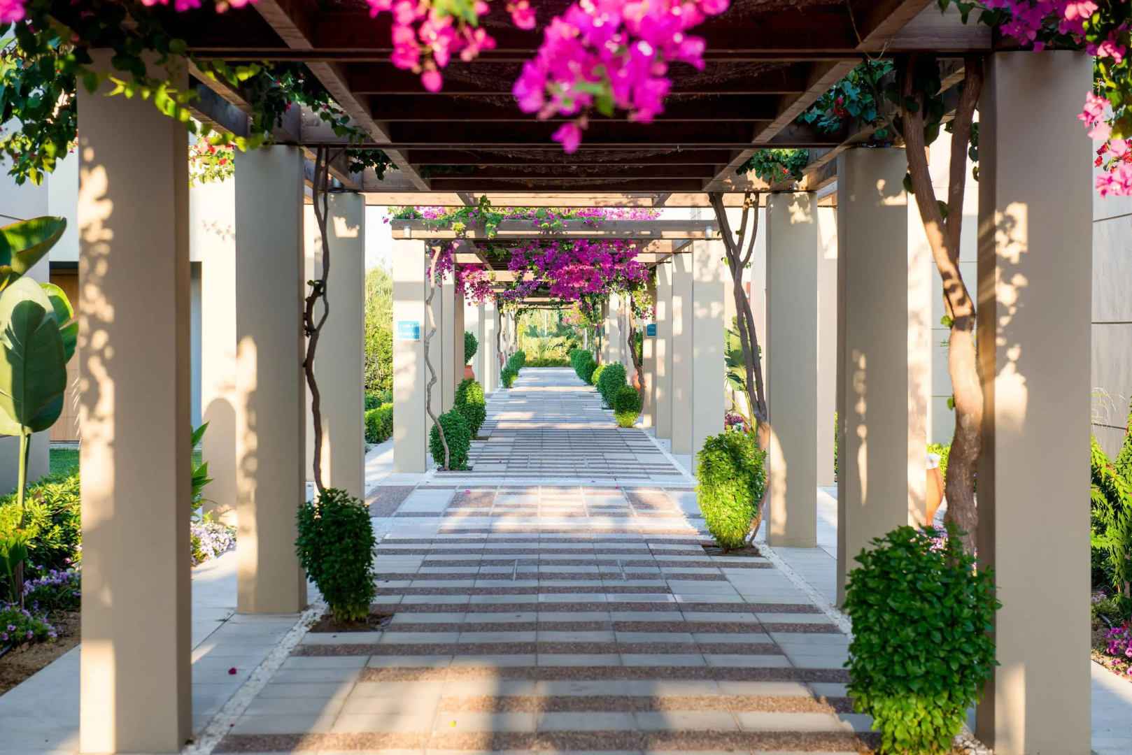 Foto - Astir Odysseus Kos Resort & Spa