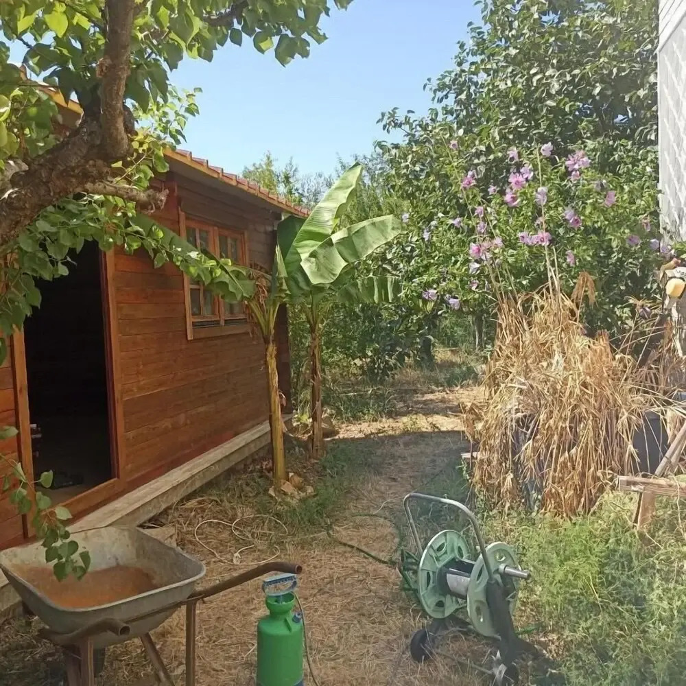 Foto - Ripe's FoRest Garden Guest House