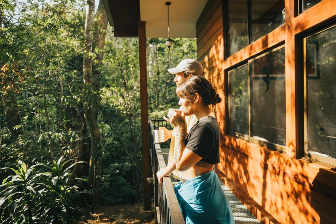 Foto - Jaguarundi Lodge