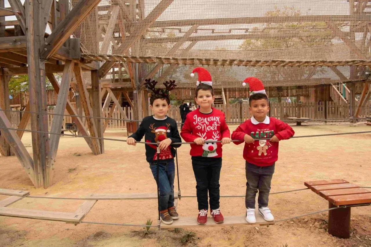 Foto - Magic Robin Hood