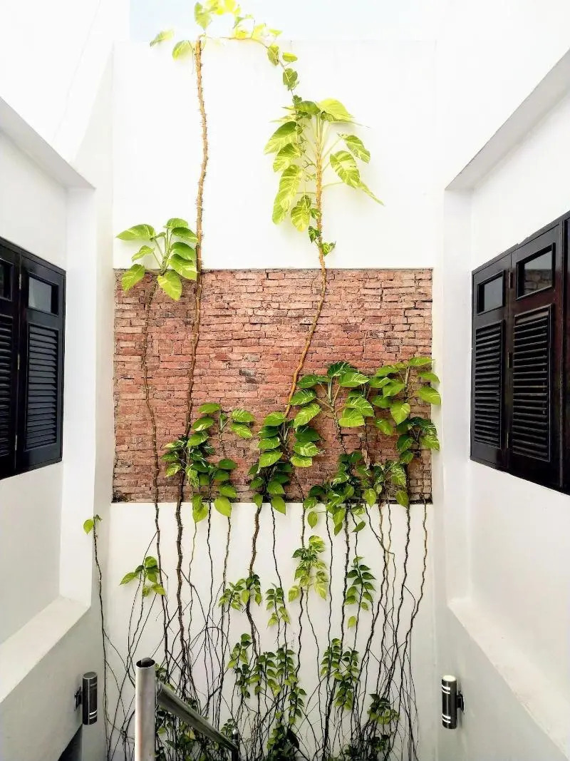 Foto - La Terraza de San Juan