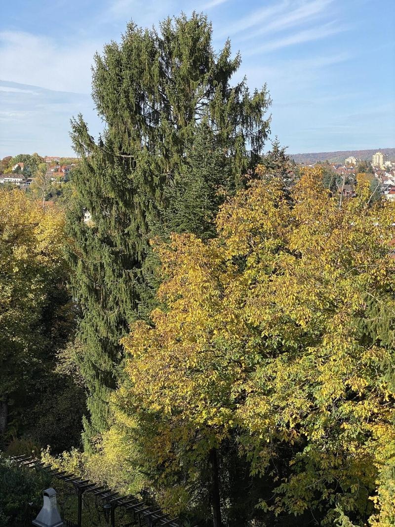 Foto - Mirage City Hotel Stuttgart