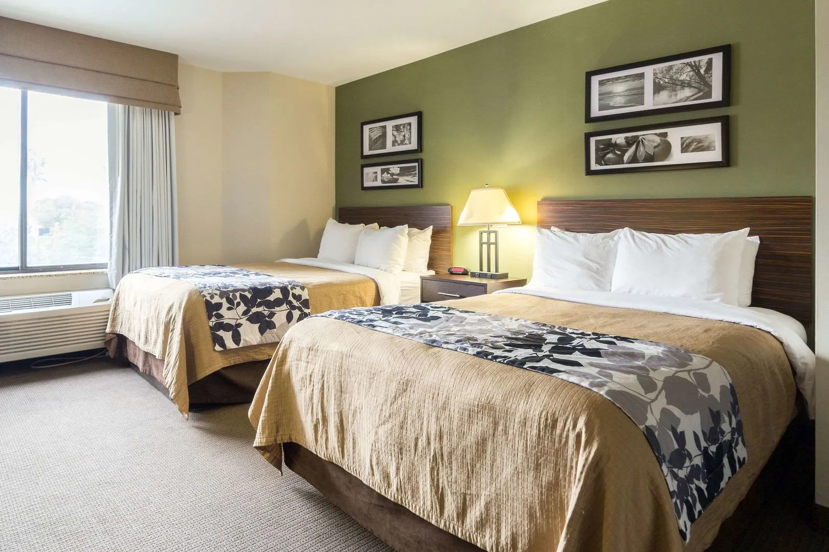 Foto - Sleep Inn Airport Phoenix