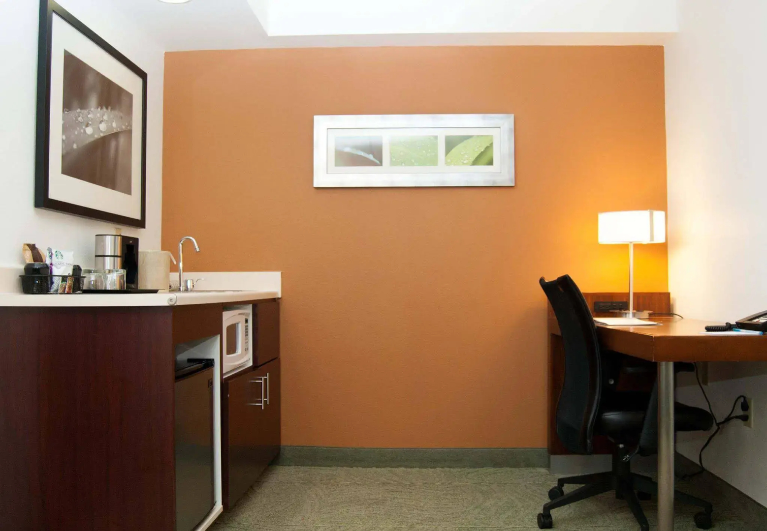Photo - SpringHill Suites by Marriott Austin The Domain Area