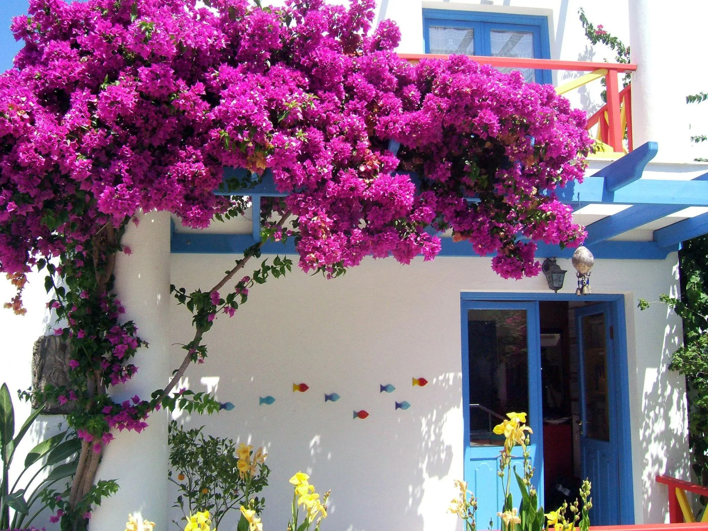 Photo - Su Hotel - Bodrum