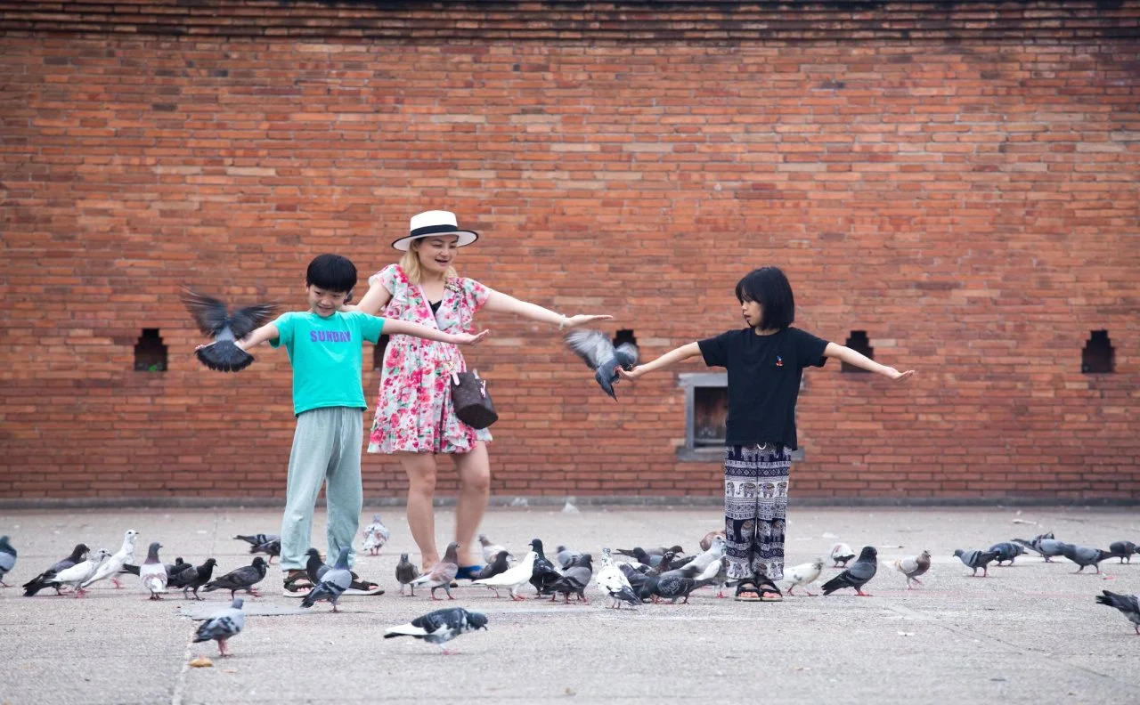 Photo - Imm Hotel Thaphae Chiang Mai