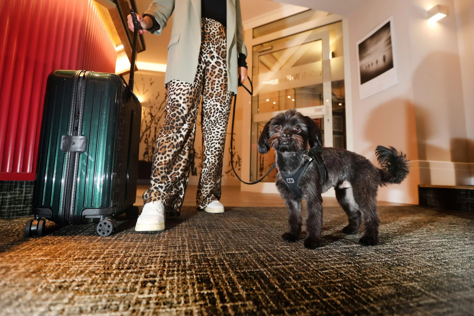 Foto - Best Western Hotel Windorf