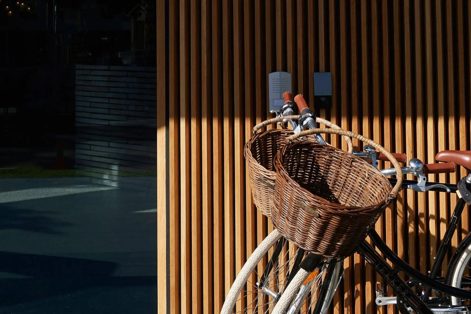 Photo - Tribe Perth Kings Park