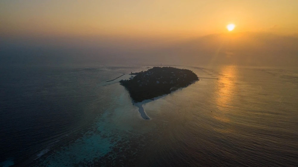 Photo - Turtle Maldives - Your Gateway to the Beach & Marine Adventures Await!