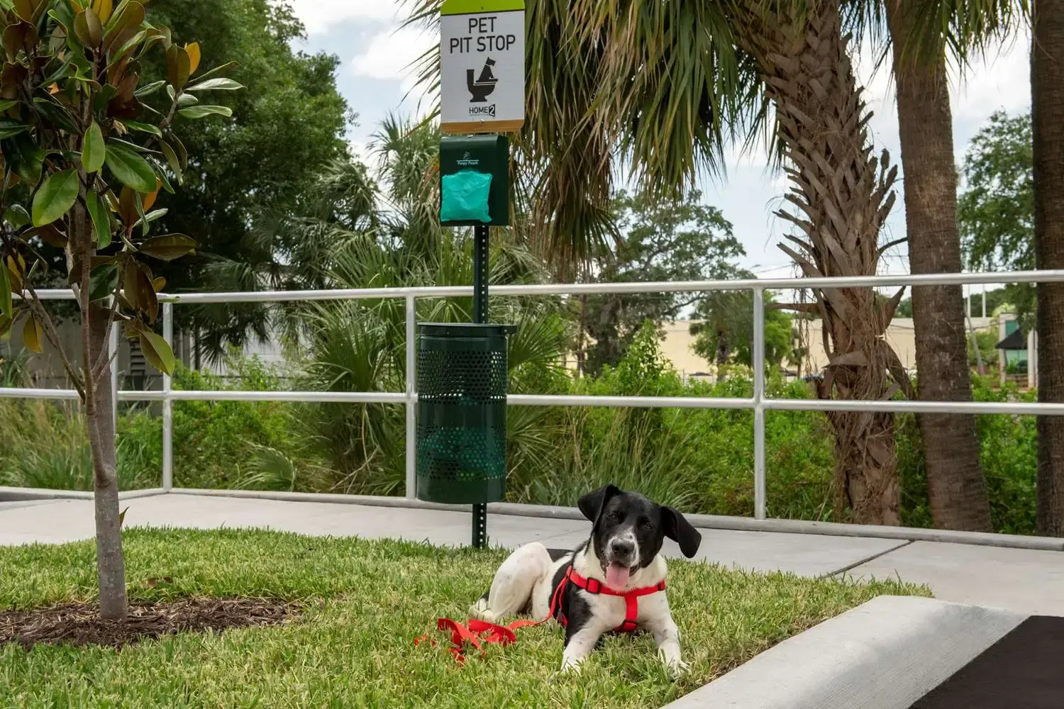 Photo - Home2 Suites By Hilton Tampa Westshore Airport