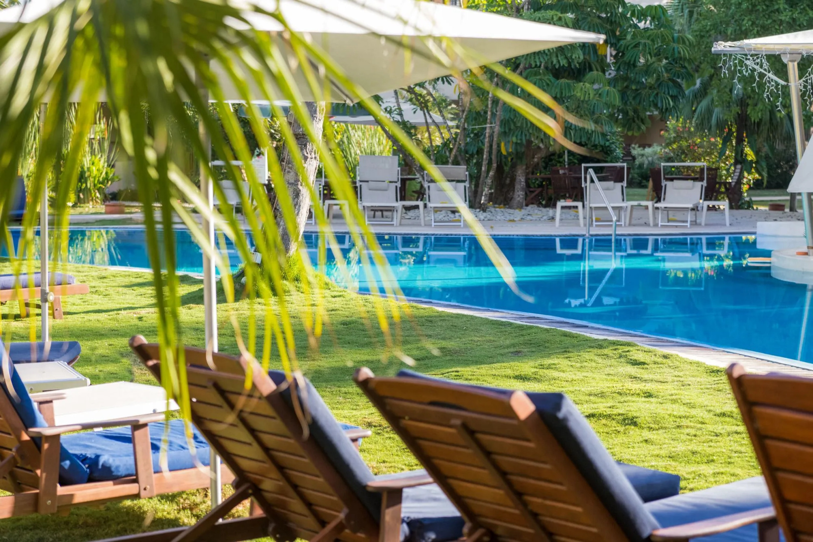 Foto - Hotel Alisei