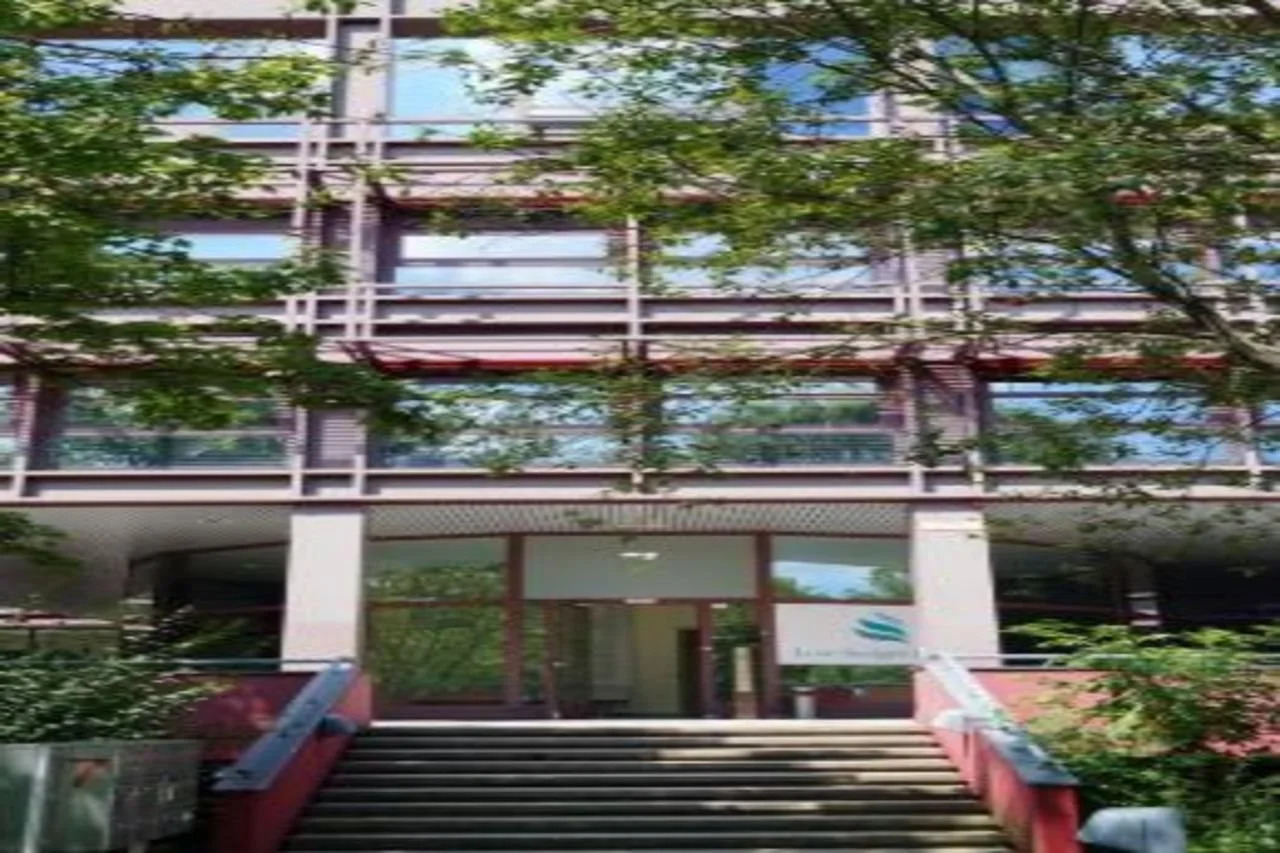 Photo - Low Budget Hostel