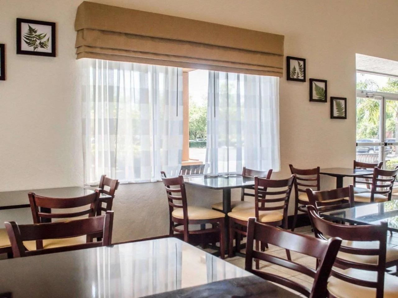 Foto - Sleep Inn near Busch Gardens - USF