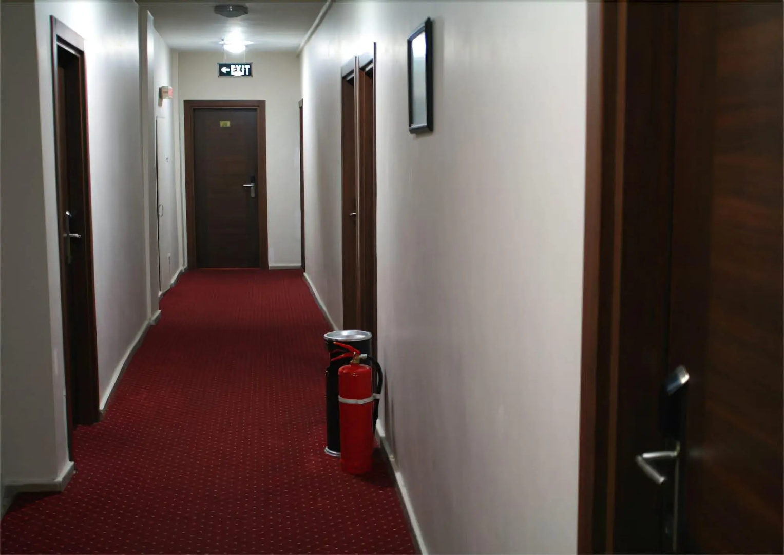 Photo - Hotel Diana