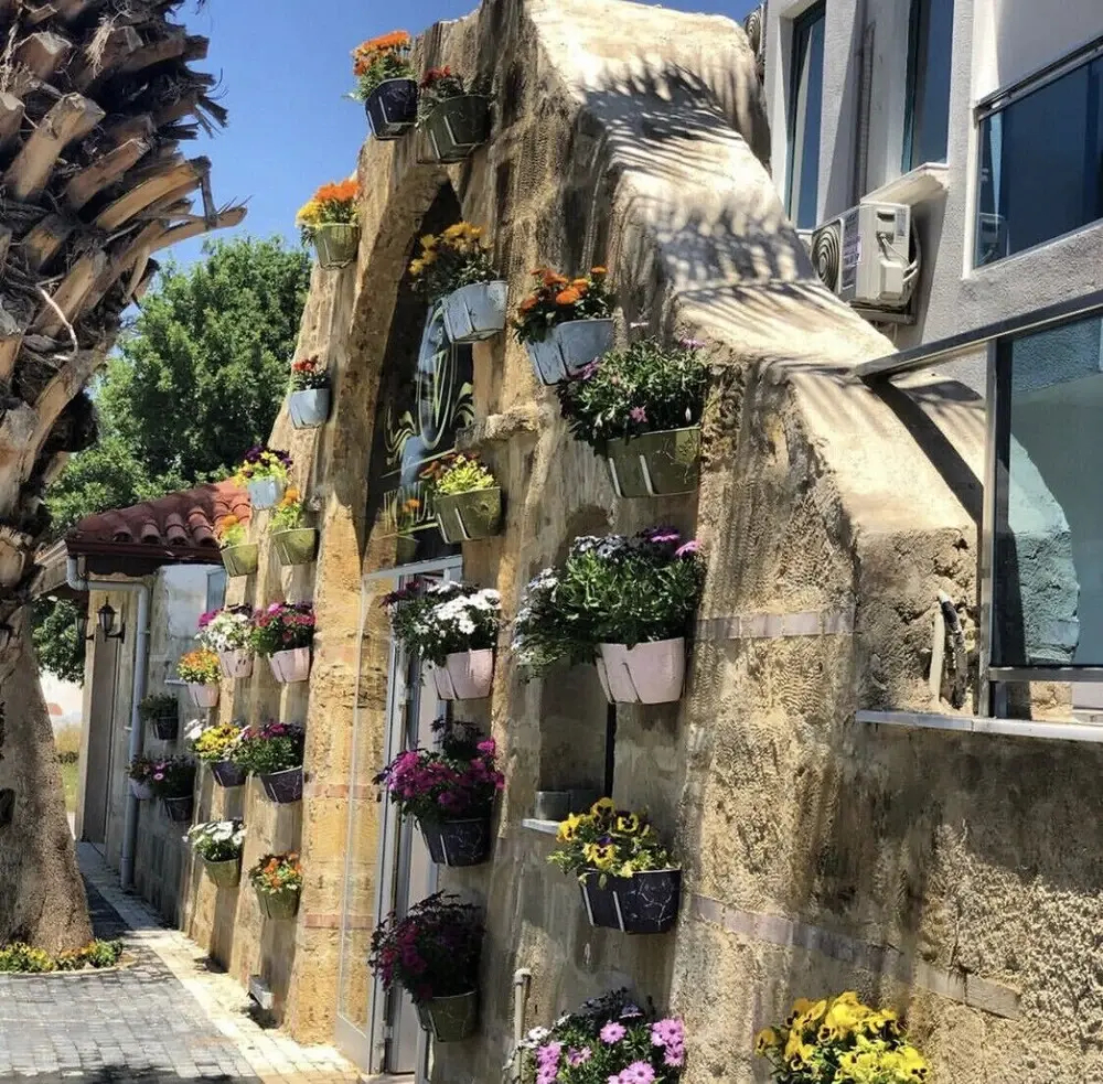 Foto - Wonder Life Hotel