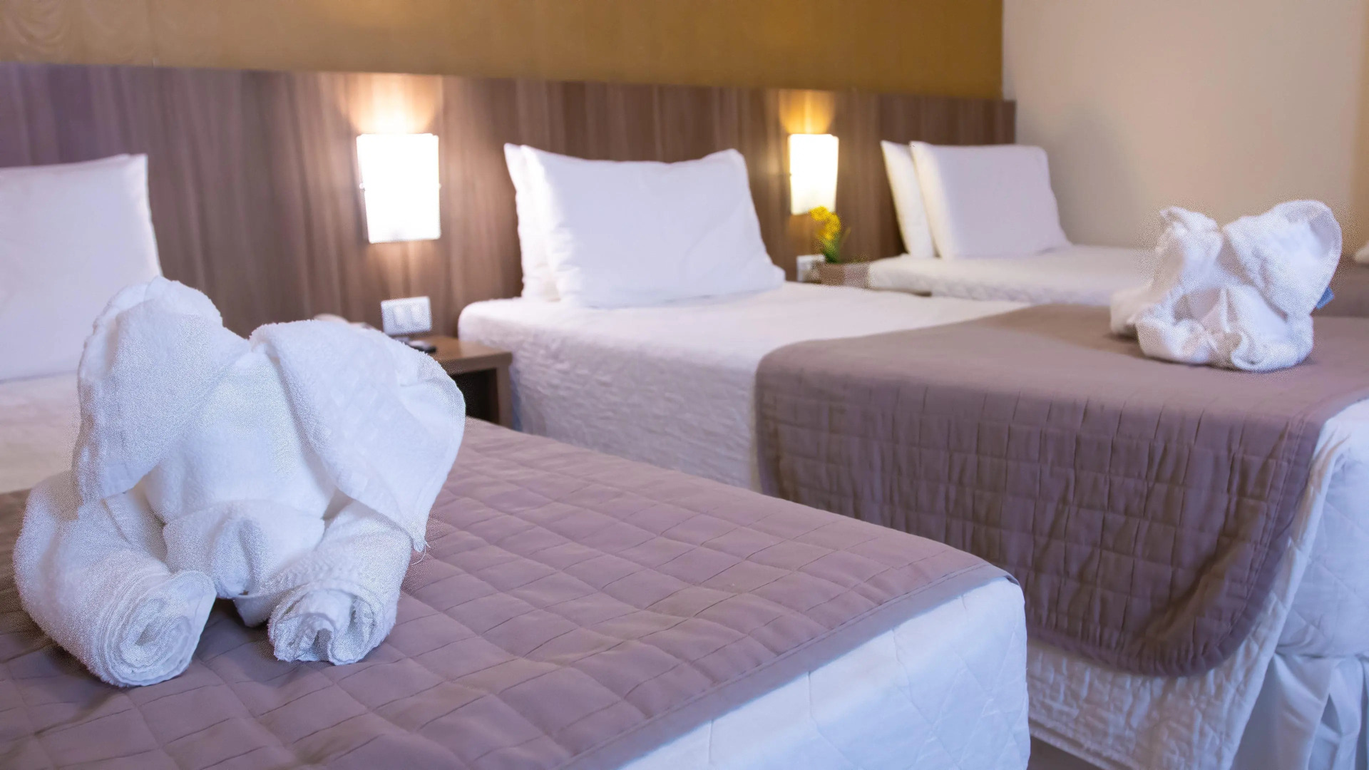 Photo - Pietro Angelo Hotel