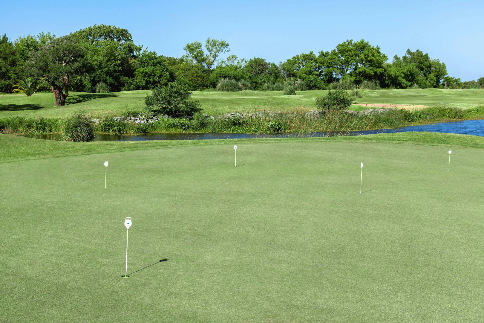 Foto - Sheraton Colonia Golf & Spa Resort