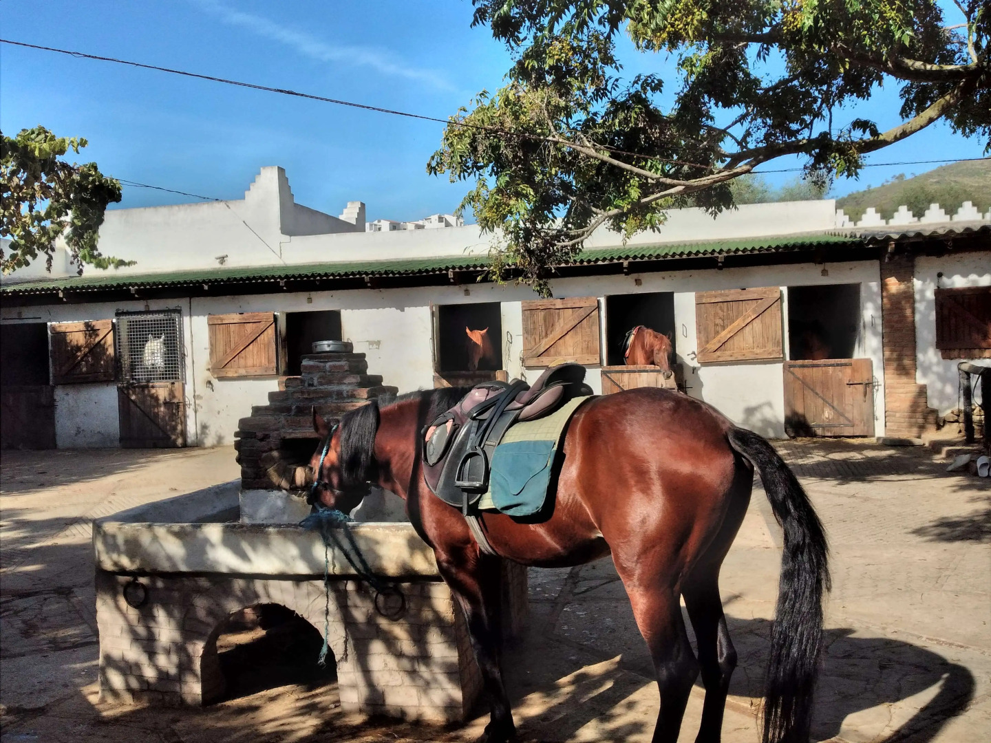 Foto - Banyan Tree Tamouda Bay