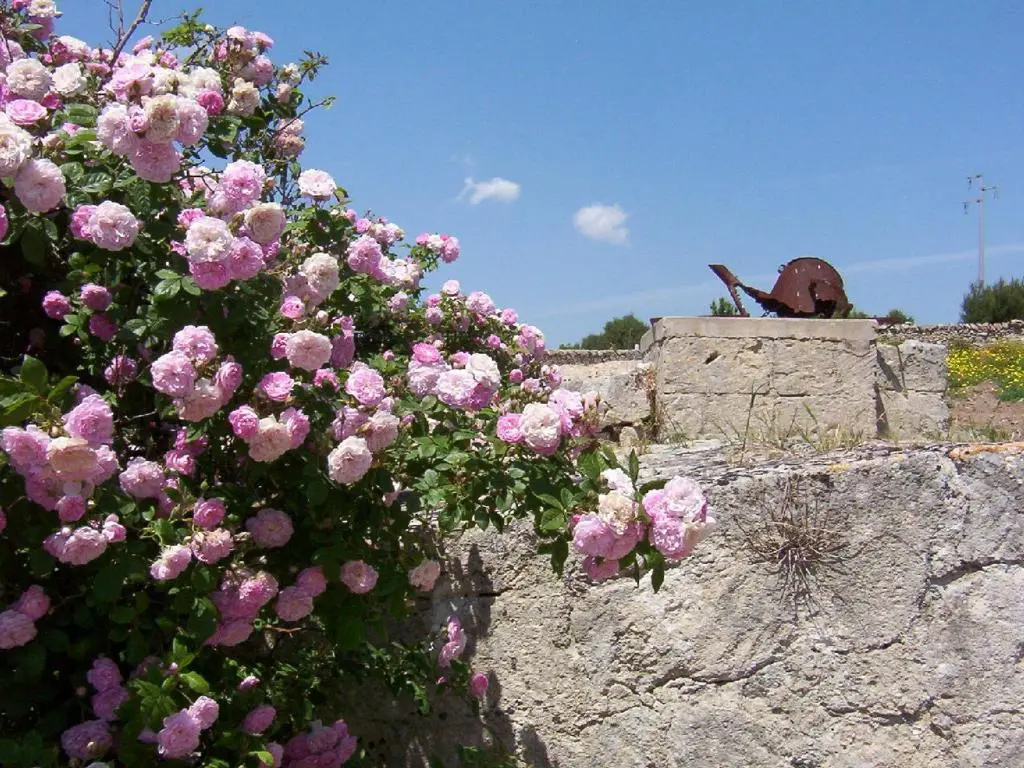Foto - Masseria La Gravina