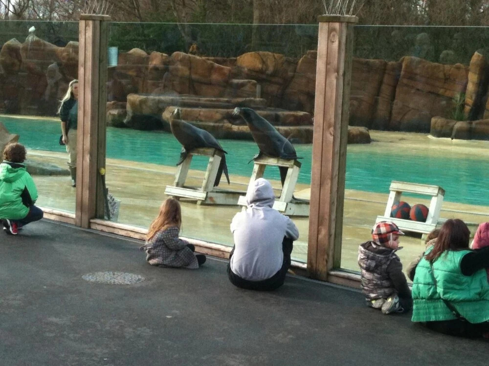 Foto - Denville Hotel