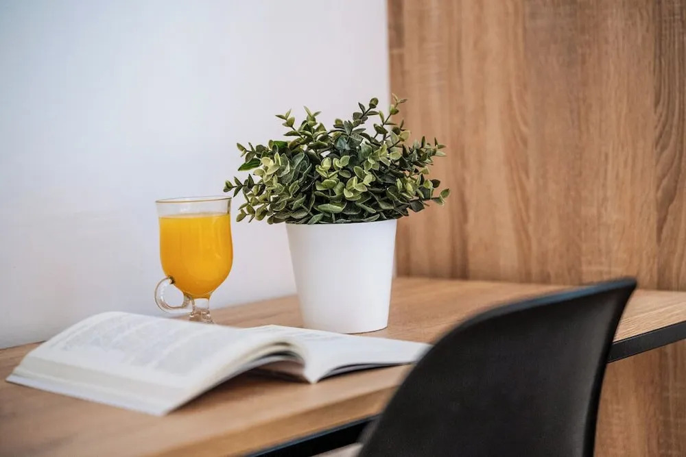 Photo - Sweet Lloret Suites